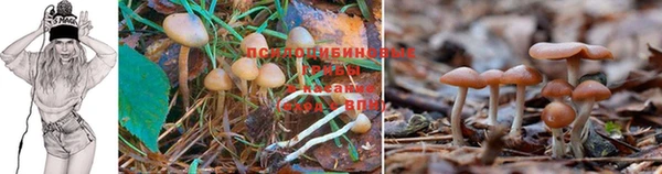 метамфетамин Вязники