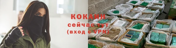 бошки Вяземский