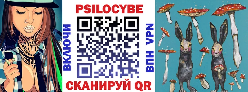 Псилоцибиновые грибы Cubensis  Купить  Кремёнки 